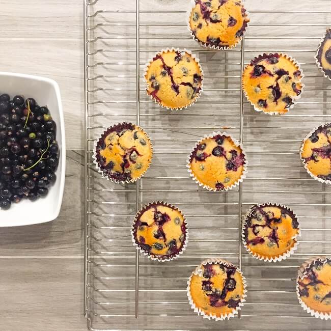 Muffinki z czarnymi porzeczkami