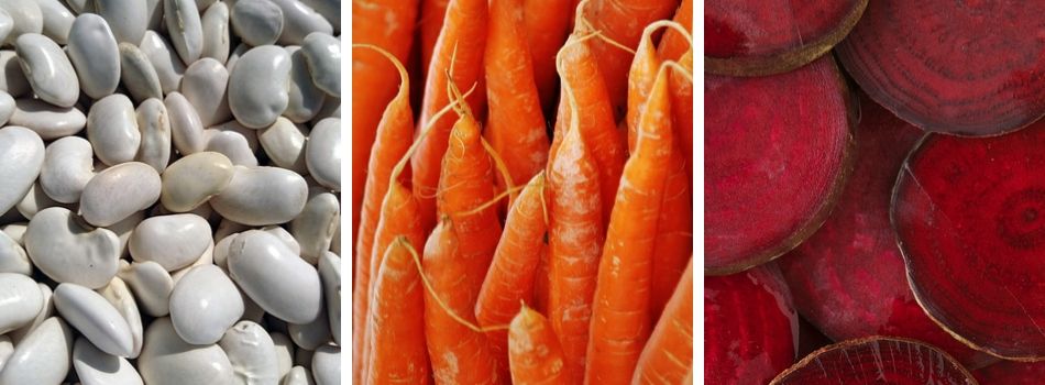 sk�adniki na barszcz urkai�ski