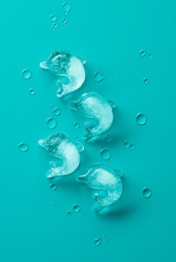 Foremka do lodu turkusowa w kszta�cie delfin�w - Lekue