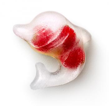 Foremka do lodu turkusowa w kszta�cie delfin�w - Lekue