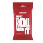 Lukier plastyczny bia�y du�a porcja (1 kg) - Renshaw