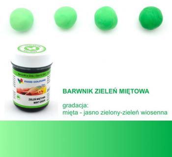 Barwnik spo�ywczy w �elu, ziele� mi�towa (35 g) - Food Colours