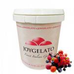Pasta o smaku owoc�w le�nych (1,2 kg) - Joypaste - Joygelato