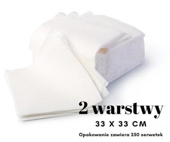 Serwetki papierowe bia�e 33 x 33 cm, dwuwarstwowe, komplet (250 szt.) - AleDobre.pl