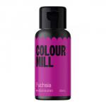 Barwnik wodny, fuksja 20 ml Fuchsia  - Aqua Blend - Colour Mill