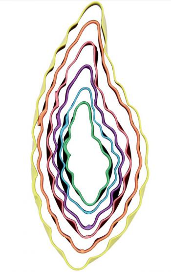 Foremki dwustronne li�cie (zestaw 6 sztuk) - Wilton