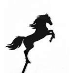 Topper z plexi ko�, czarny - Mill Art