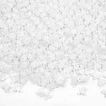 Posypka cukrowa, czaszki bia�e (30 g) - SweetDecor