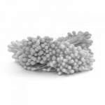 Pr�ciki do kwiat�w cukrowych bia�e i ��te (288 szt. w ...