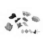 Foremki do wycinania ciasteczek z t�oczkiem zestaw, li�...