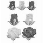 Foremka do czekoladowych lizak�w w kszta�cie r�yczek -...